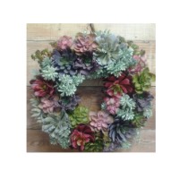 Potentilla Fair - Living Wall Art pop up shop